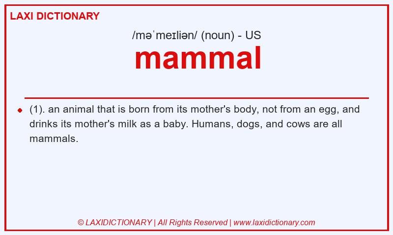 Definition mammal in American English