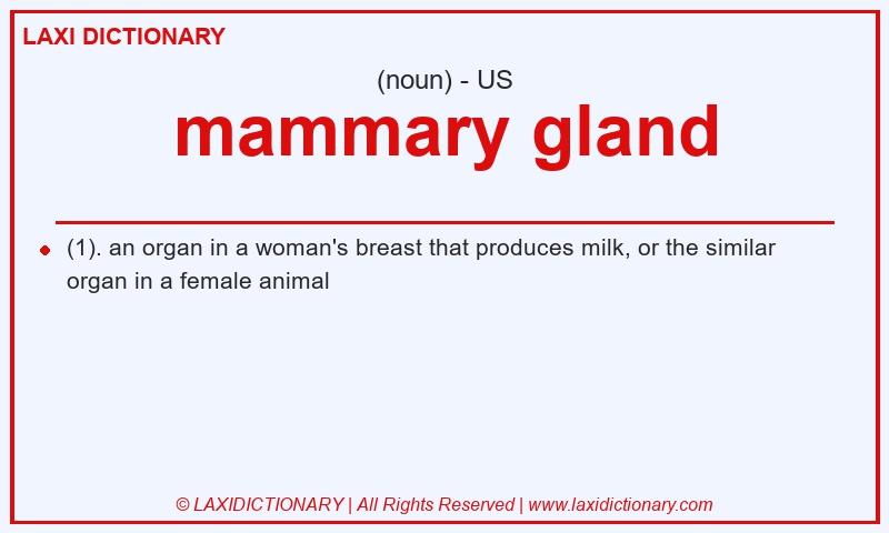 Definition mammary gland in American English