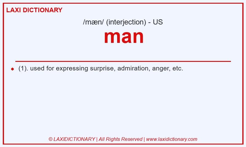 Definition man in American English