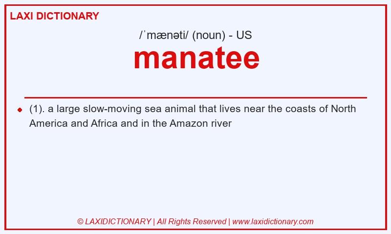 Definition manatee in American English
