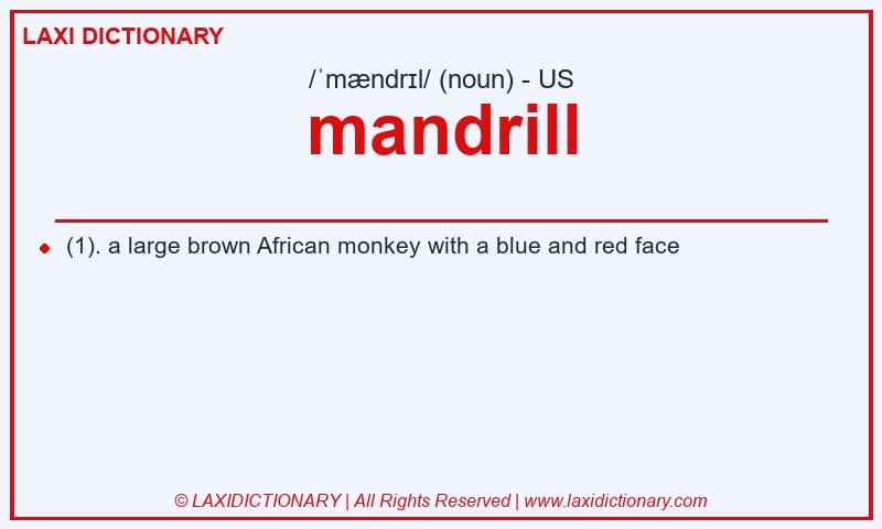 Definition mandrill in American English