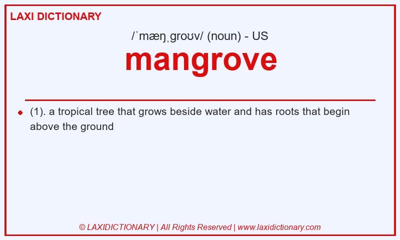Definition mangrove in American English