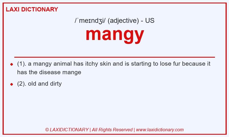 Definition mangy in American English
