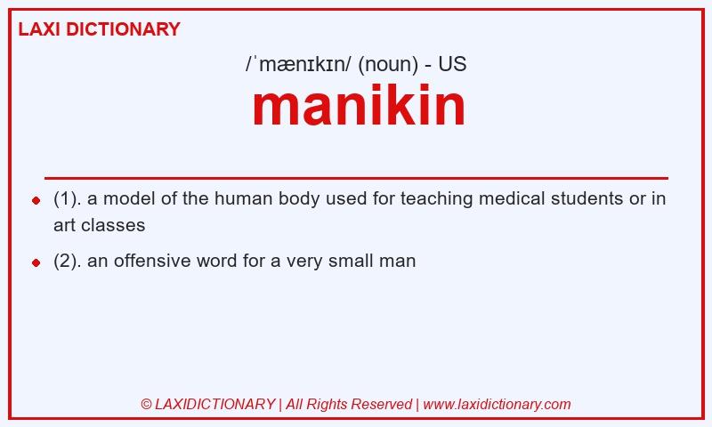 Definition manikin in American English