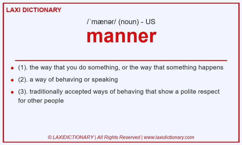 Definition manner in American English