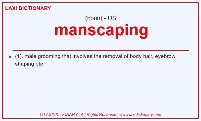 Definition manscaping in American English