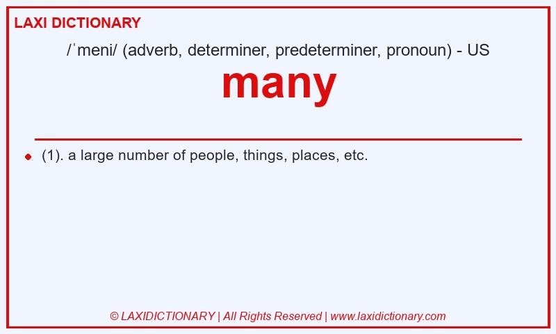 Definition many in American English