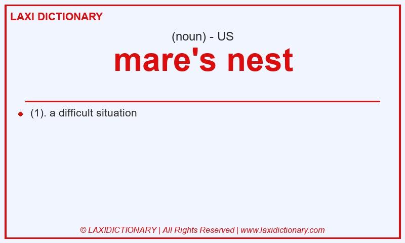 Definition mare's nest in American English