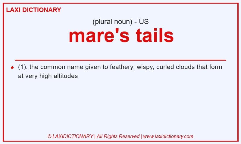 Definition mare's tails in American English