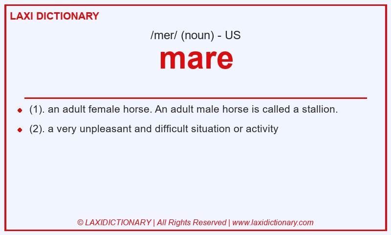 Definition mare in American English