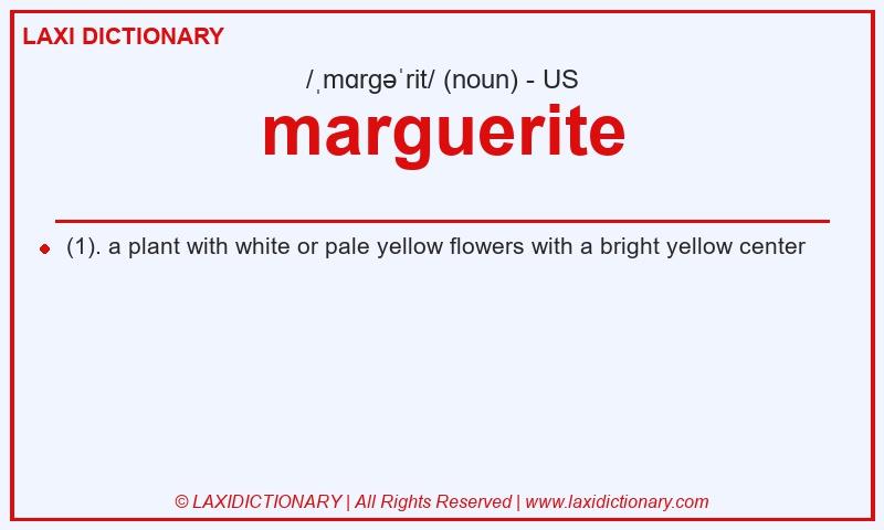 Definition marguerite in American English