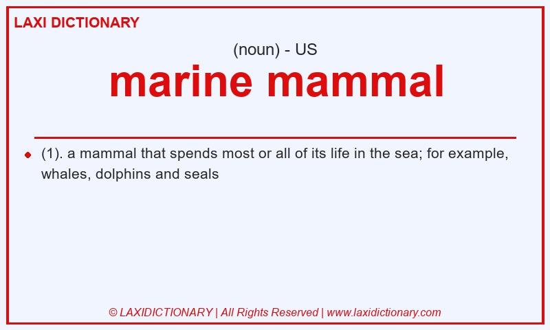 Definition marine mammal in American English