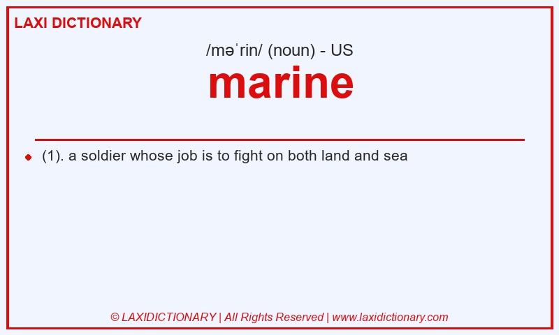 Definition marine in American English