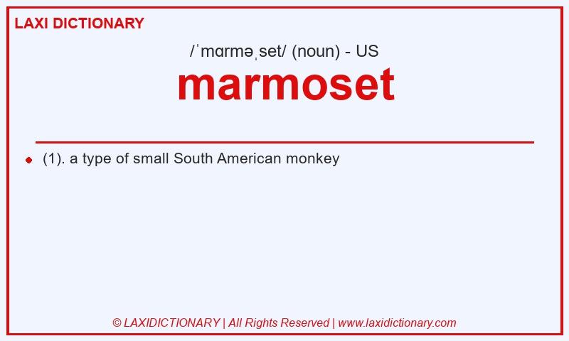 Definition marmoset in American English