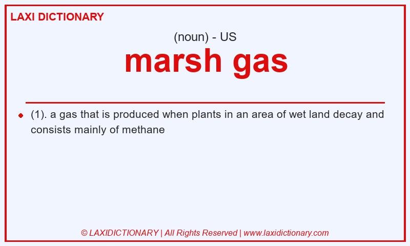 Definition marsh gas in American English