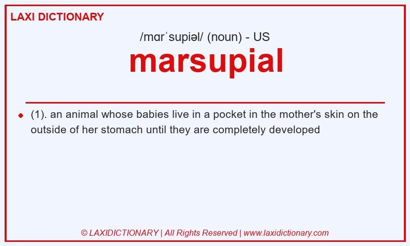 Definition marsupial in American English