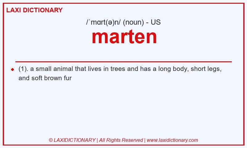 Definition marten in American English