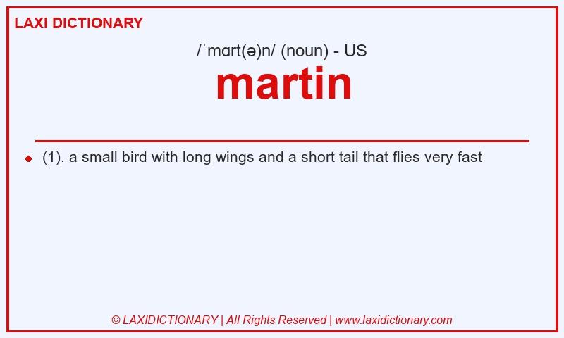 Definition martin in American English