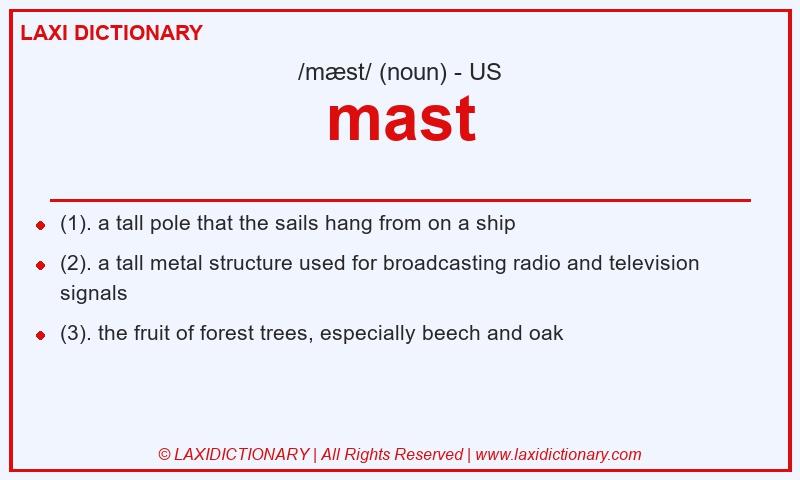 Definition mast in American English