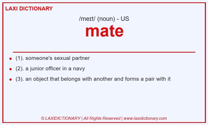Definition mate in American English
