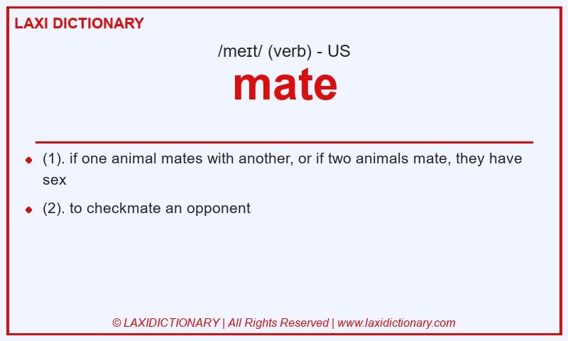 Definition mate in American English