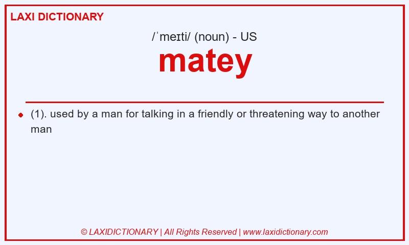 Definition matey in American English