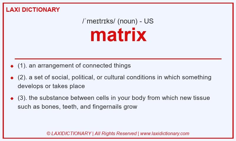 Definition matrix in American English
