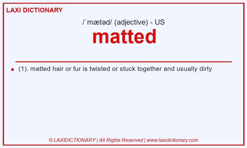 Definition matted in American English