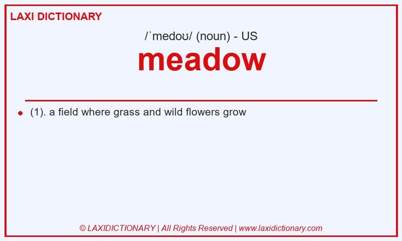 Definition meadow in American English