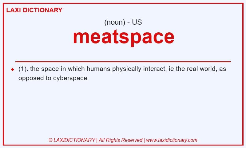 Definition meatspace in American English