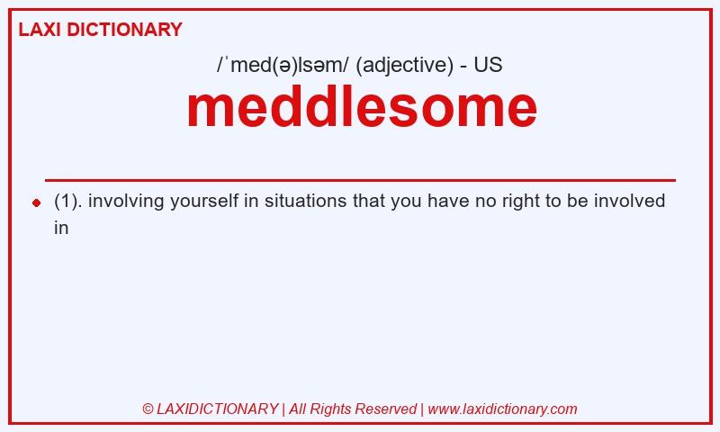 Definition meddlesome in American English