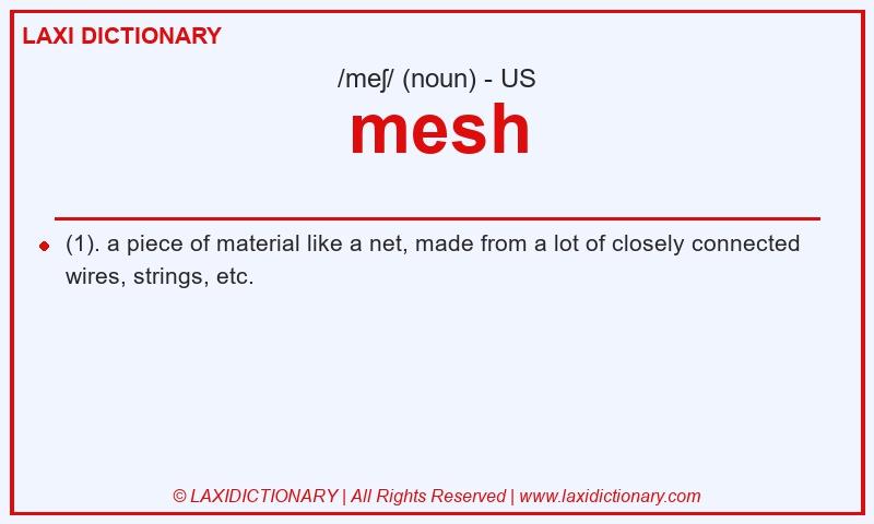 Definition mesh in American English