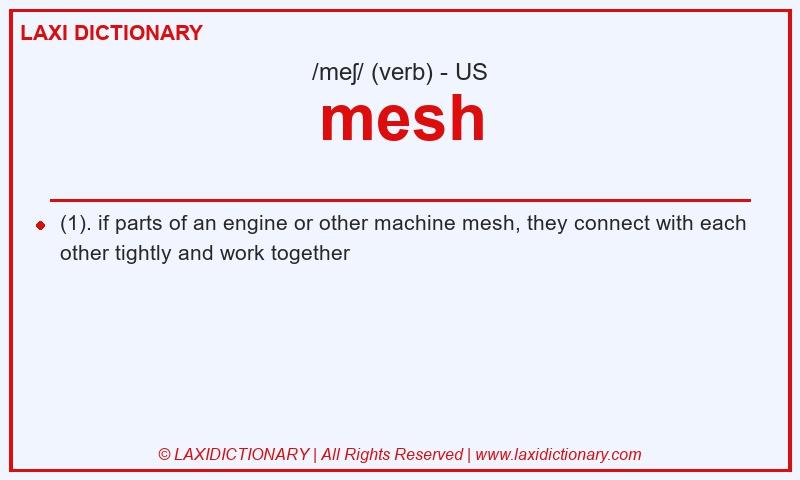 Definition mesh in American English