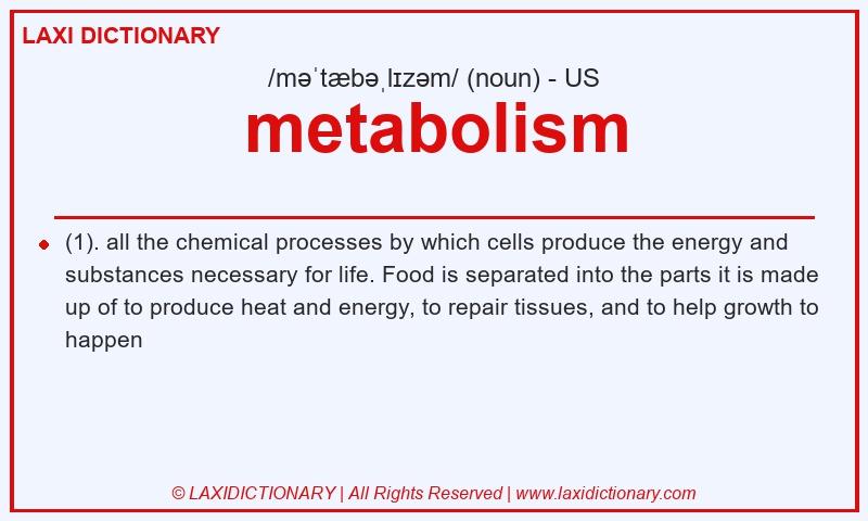 Definition metabolism in American English