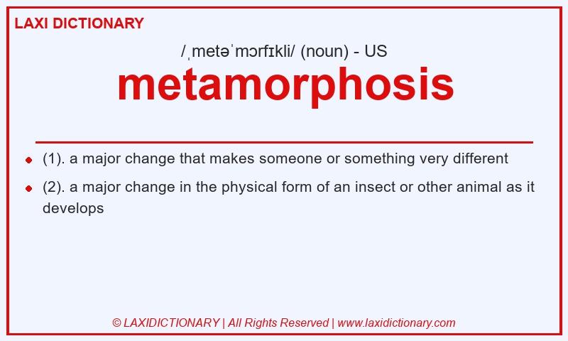 Definition metamorphosis in American English