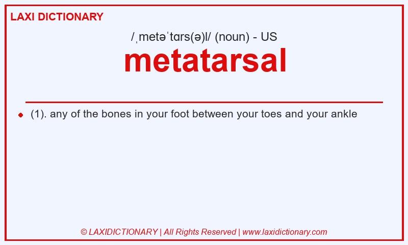 Definition metatarsal in American English