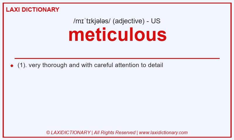 Definition meticulous in American English