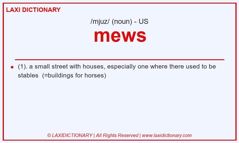 Definition mews in American English
