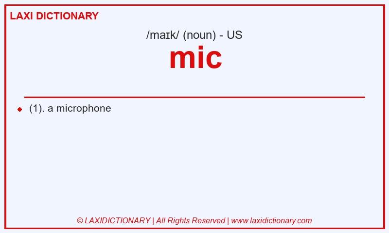 Definition mic in American English