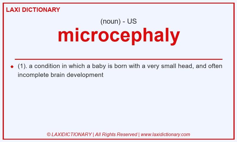 Definition microcephaly in American English