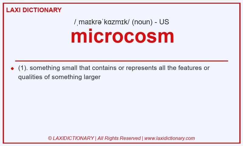 Definition microcosm in American English