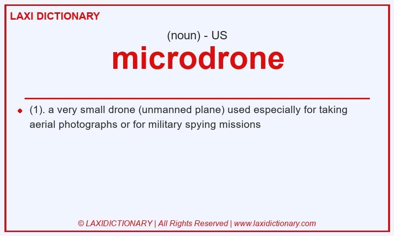 Definition microdrone in American English