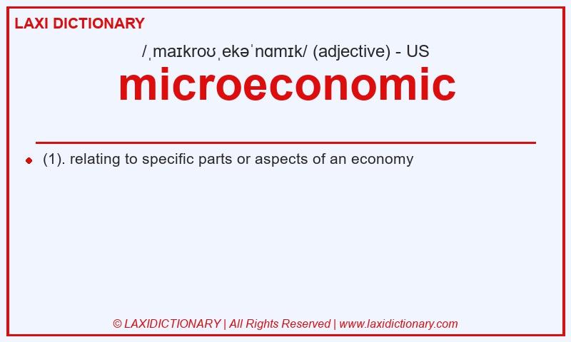 Definition microeconomic in American English