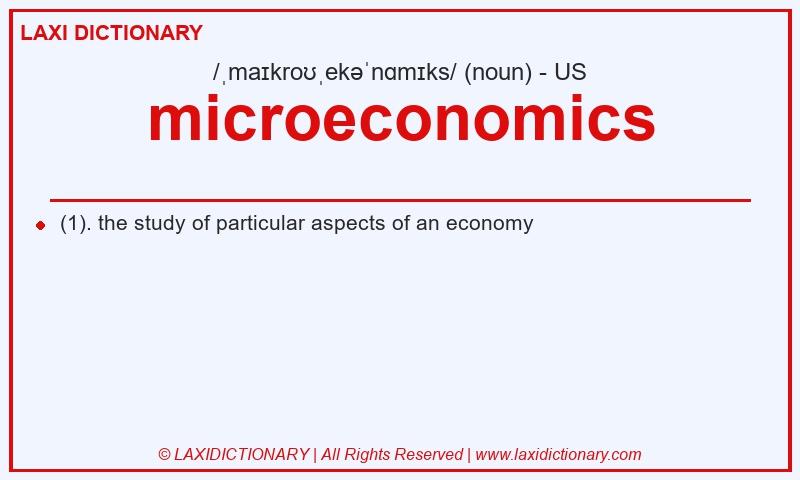 Definition microeconomics in American English