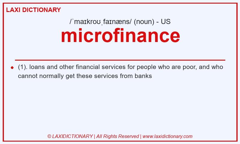 Definition microfinance in American English