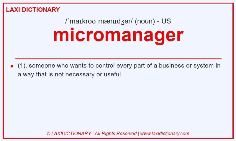 Definition micromanager in American English