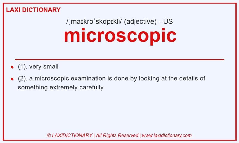 Definition microscopic in American English