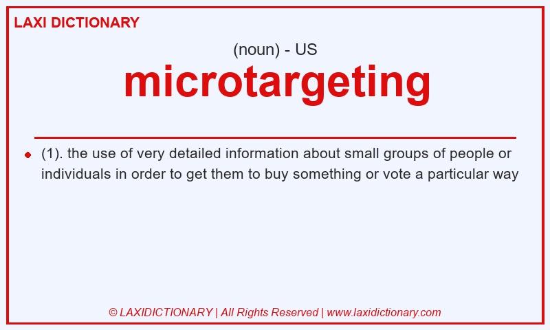 Definition microtargeting in American English
