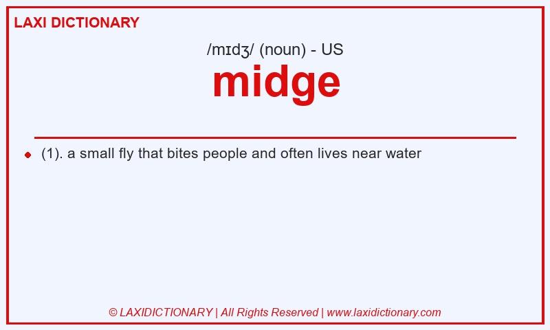 Definition midge in American English