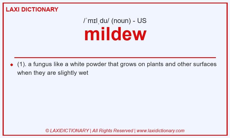 Definition mildew in American English